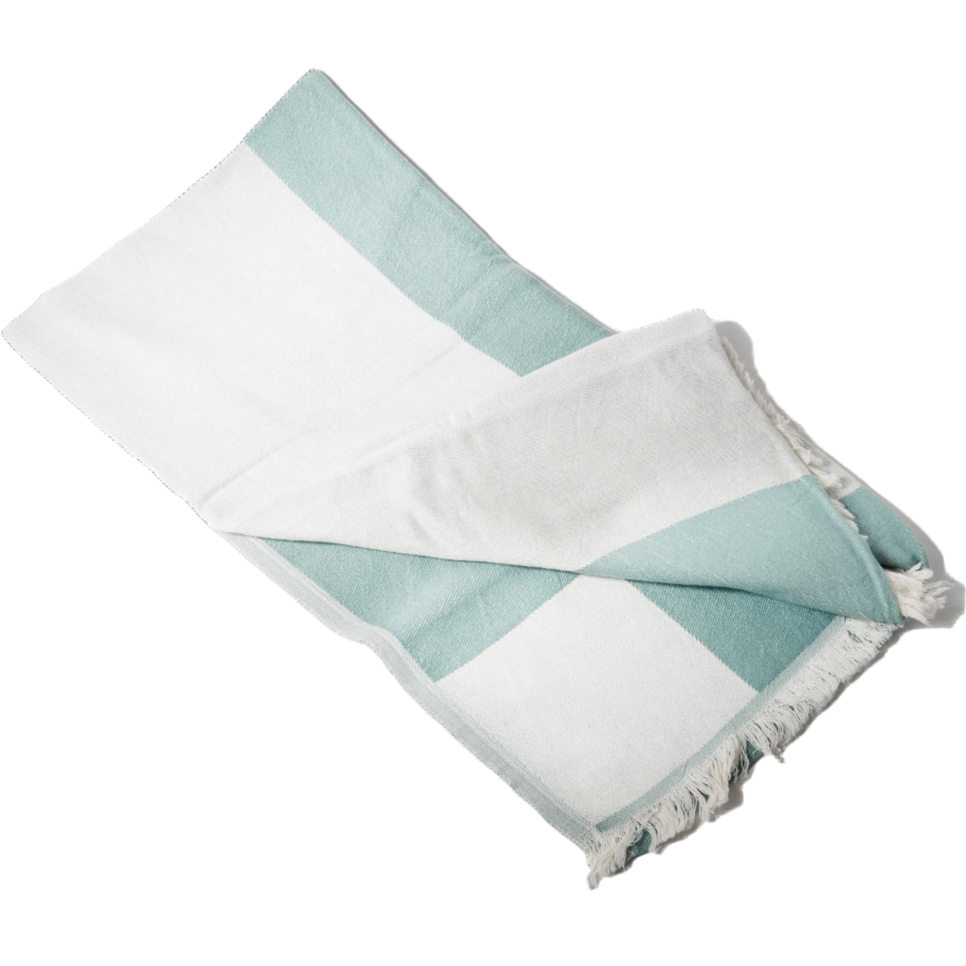 Agave Beach Towel Common Things