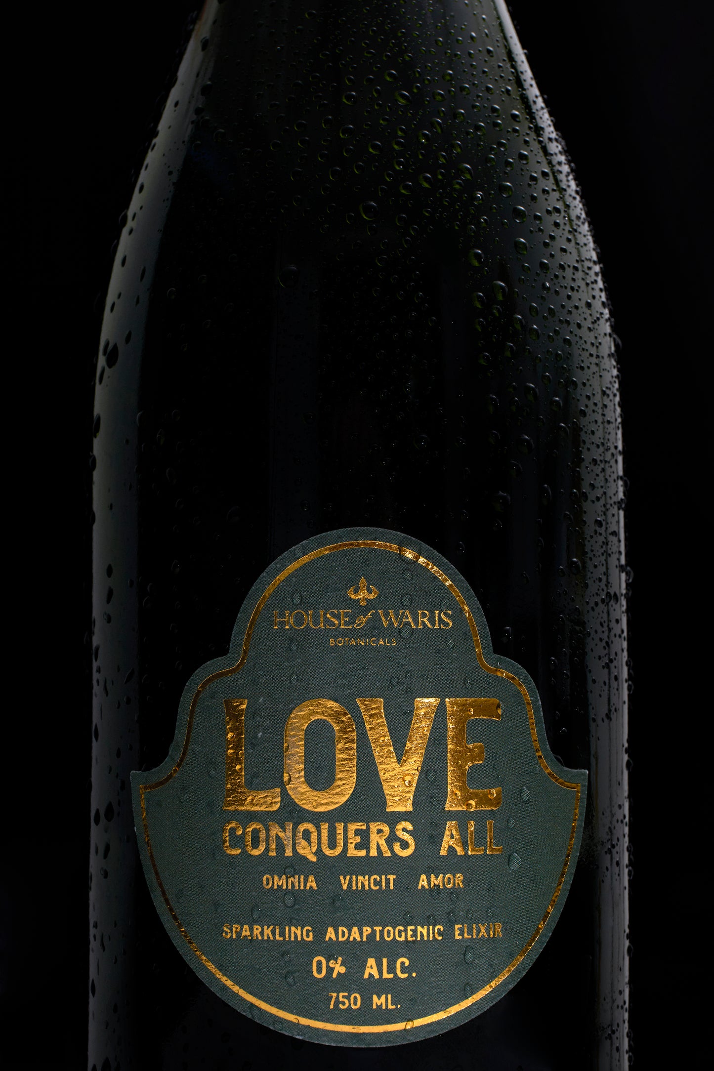 Love Conquers All